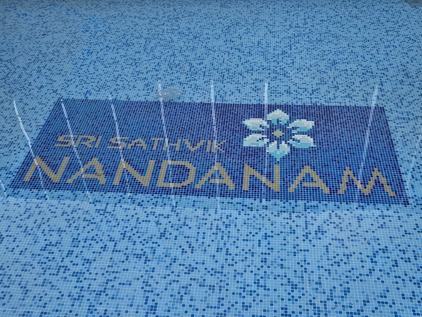 Luxury You Deserve – 2 & 3BHK Flats in Prime Location